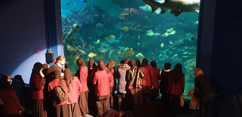 Blue Planet Aquarium